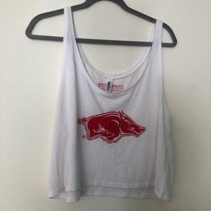 Razorbacks/University of Arkansas crop top